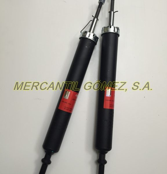 MG00213