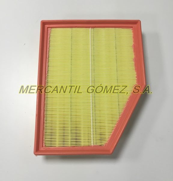 MG00221