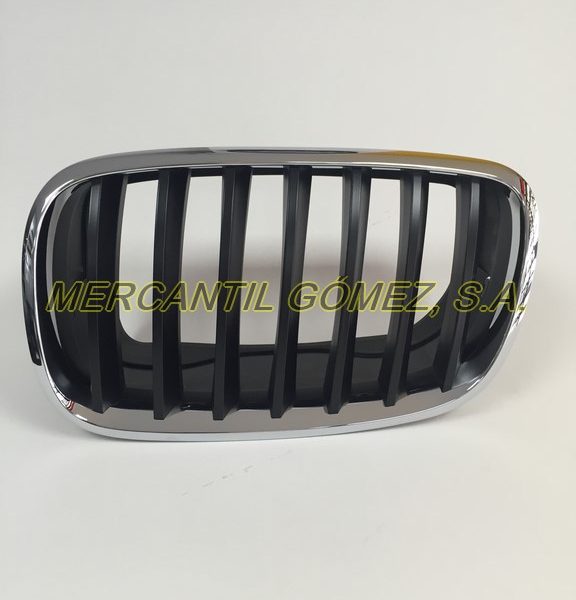 MG00536