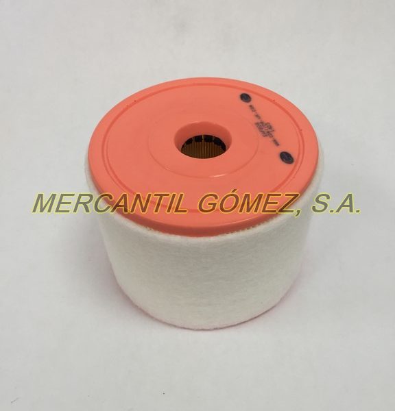 MG00619