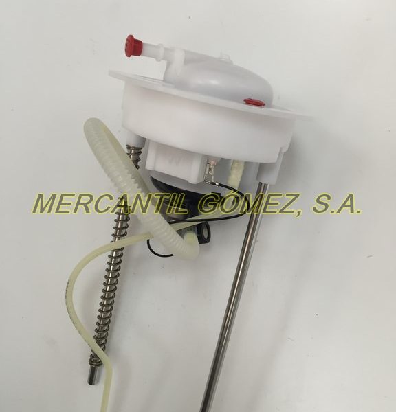 MG01909