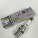MG00648